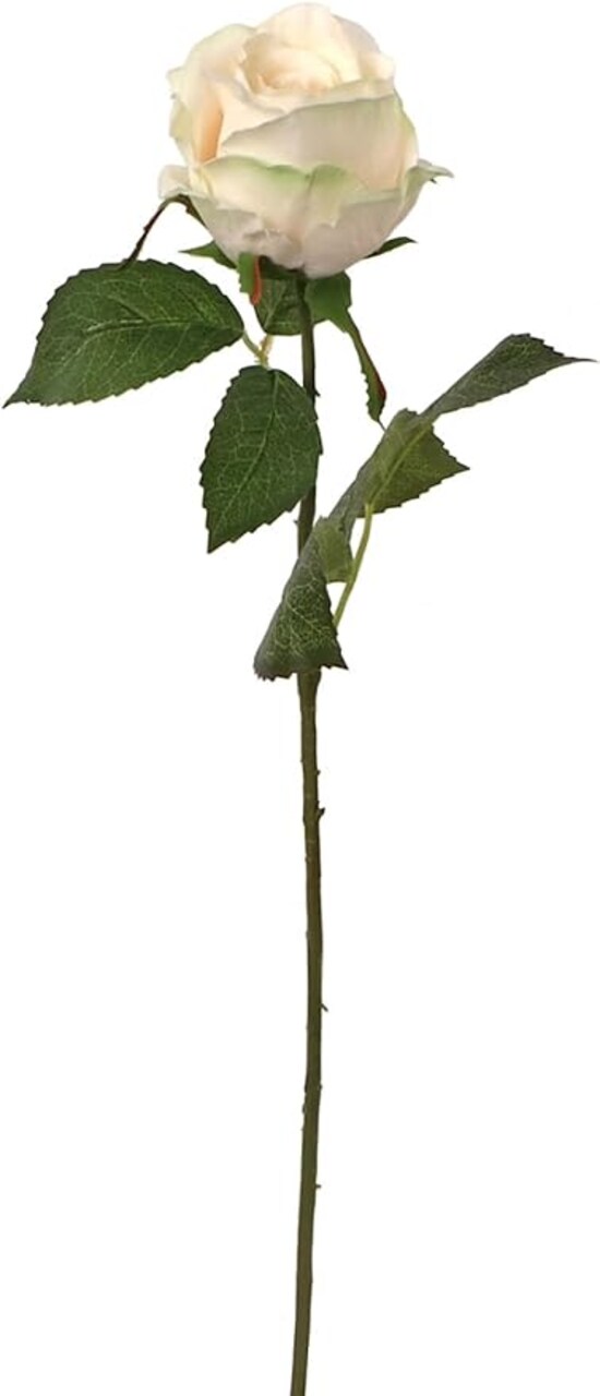 Rose Bud Stem - 48-Pack, Realistic Silk Foliage, Lifelike Blooms, Perfect for Floral Arrangements, Events & Home Décor - Ideal for All Seasons, Floral Home by Artificial Flowers